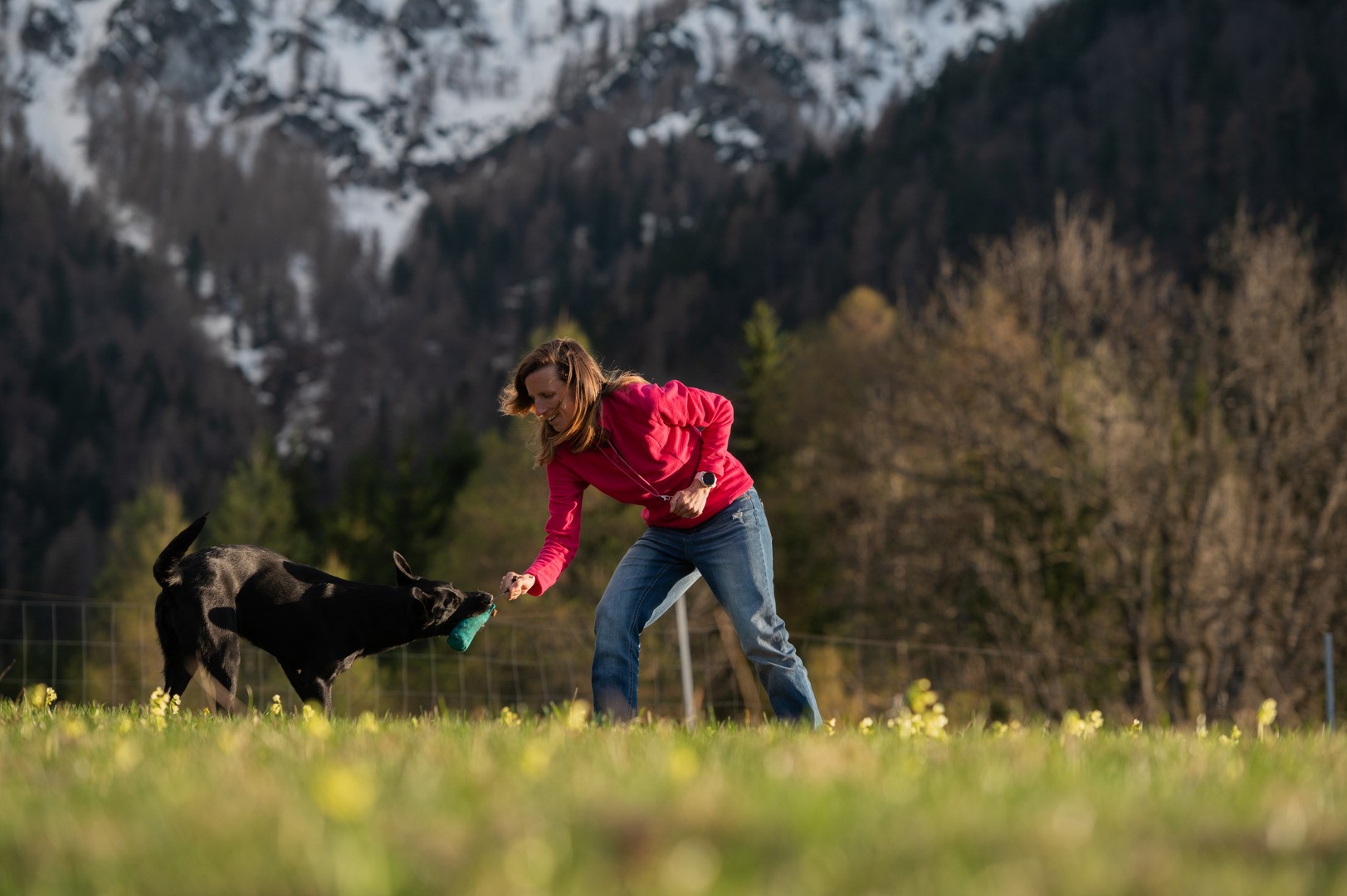 Privaten Hundetrainer finden ► Auswahlkriterien und Vorteile | https://elements.envato.com/de/dog-trainer-playing-with-her-dog-4B3UDL9