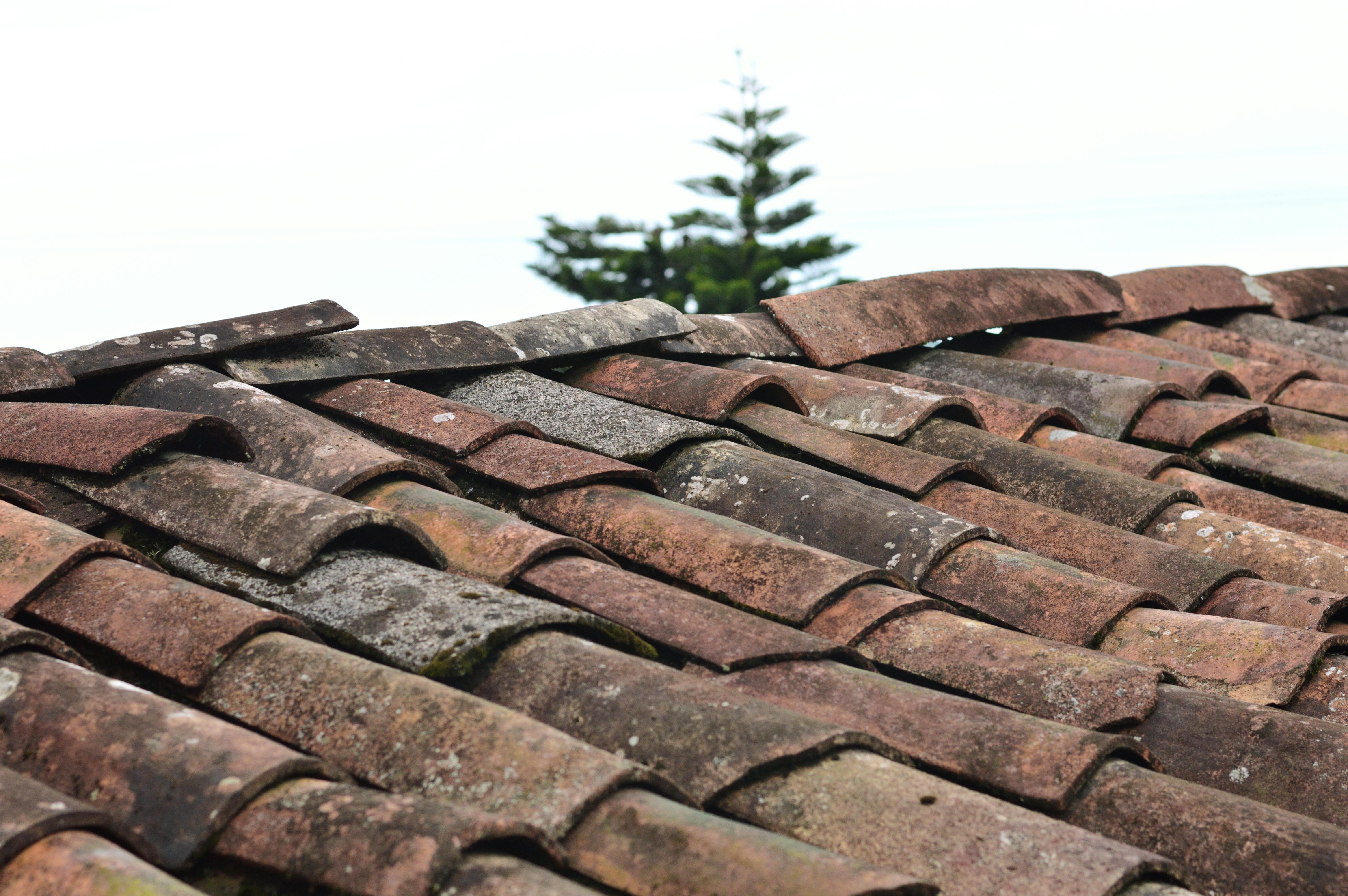 reparação de telhados
