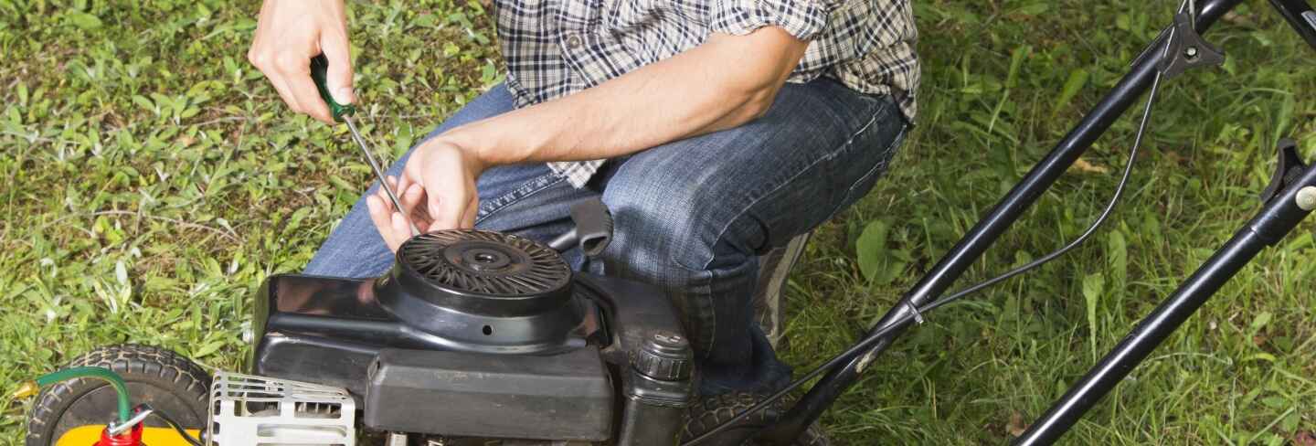 Lawn mower best sale service lower hutt