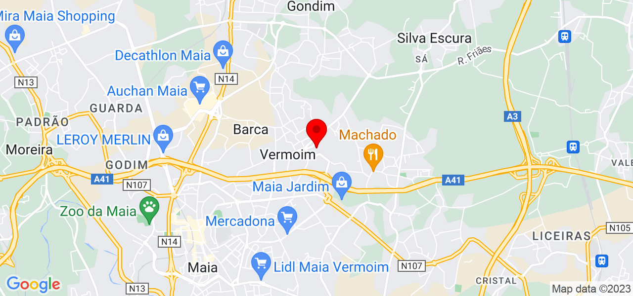 795 Treino Canino - Porto - Maia - Mapa