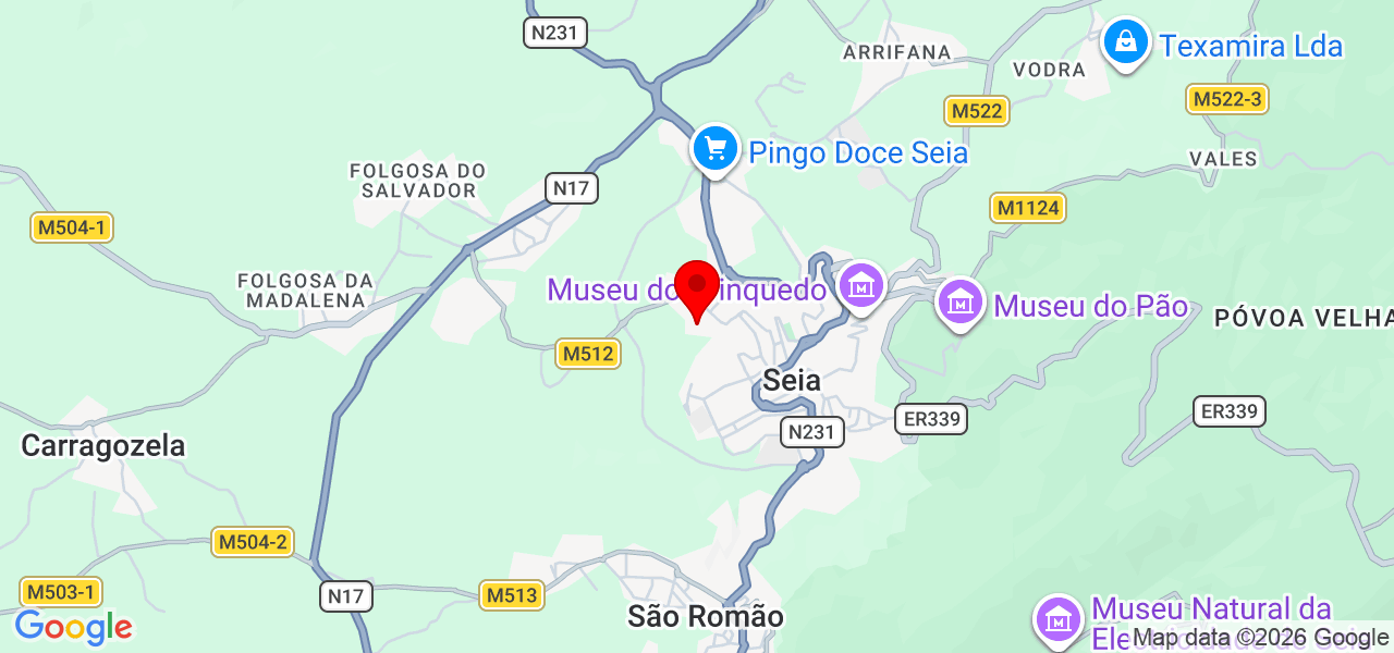 Limpeza&Organização - Guarda - Seia - Karte