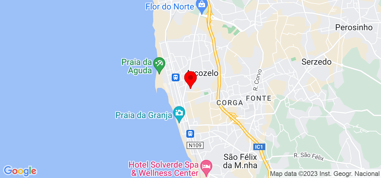 Love animal - Porto - Vila Nova de Gaia - Mapa