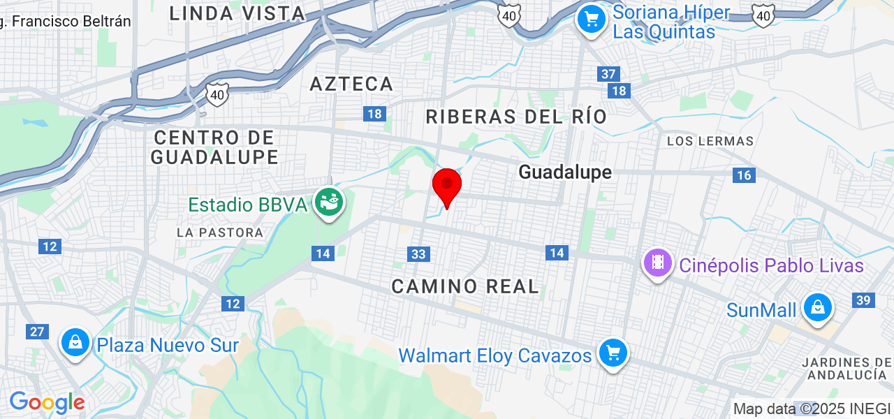 Miguel Angel Flores Herrada - Nuevo León - Guadalupe - Mapa