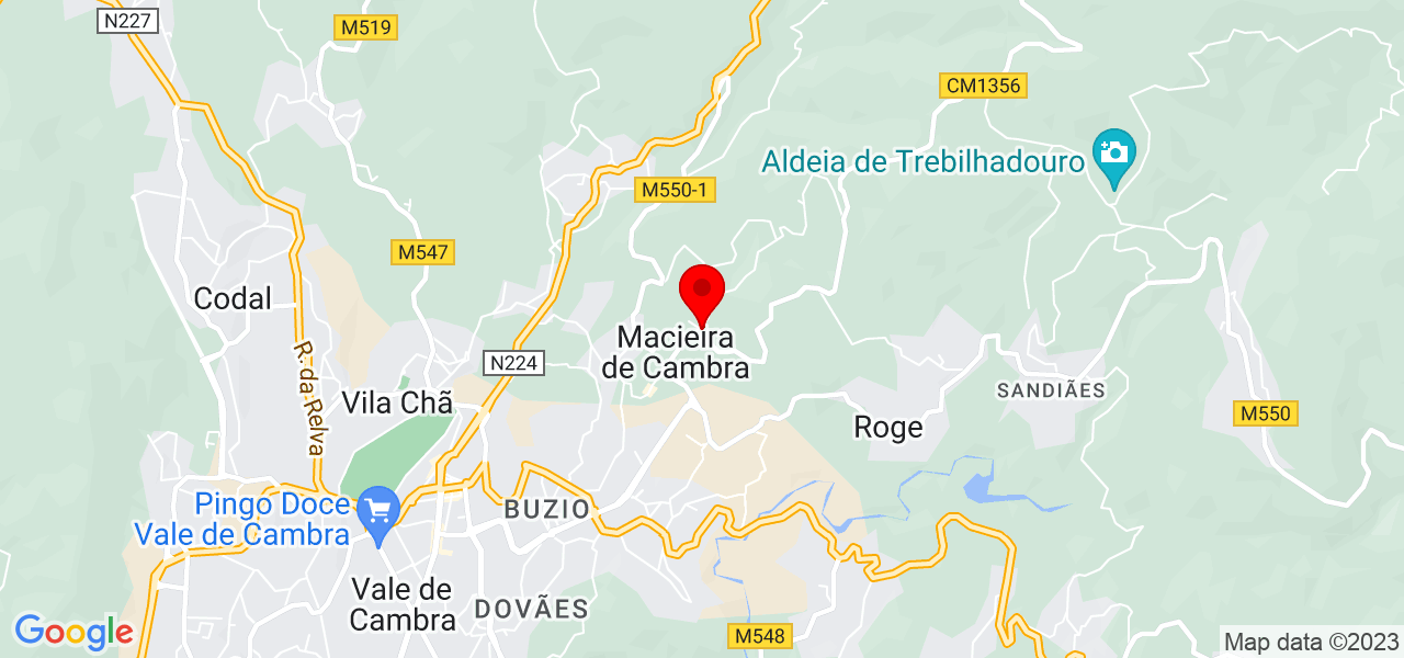 Elisa - Aveiro - Vale de Cambra - Mapa