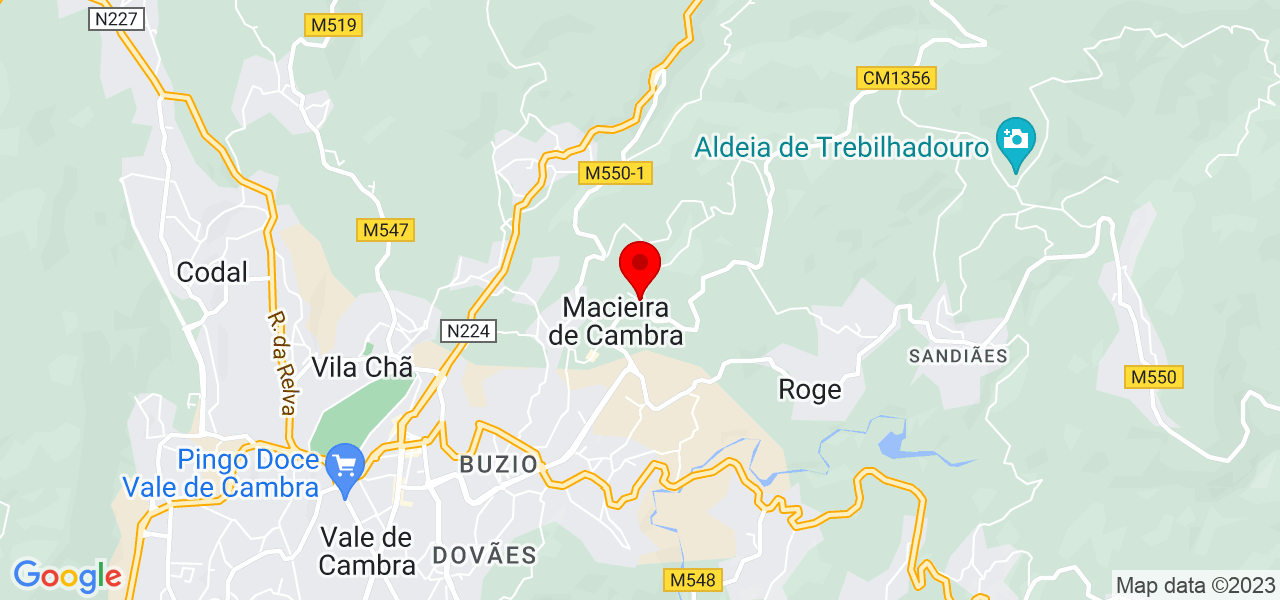 Patrícia Lopes - Aveiro - Vale de Cambra - Carte