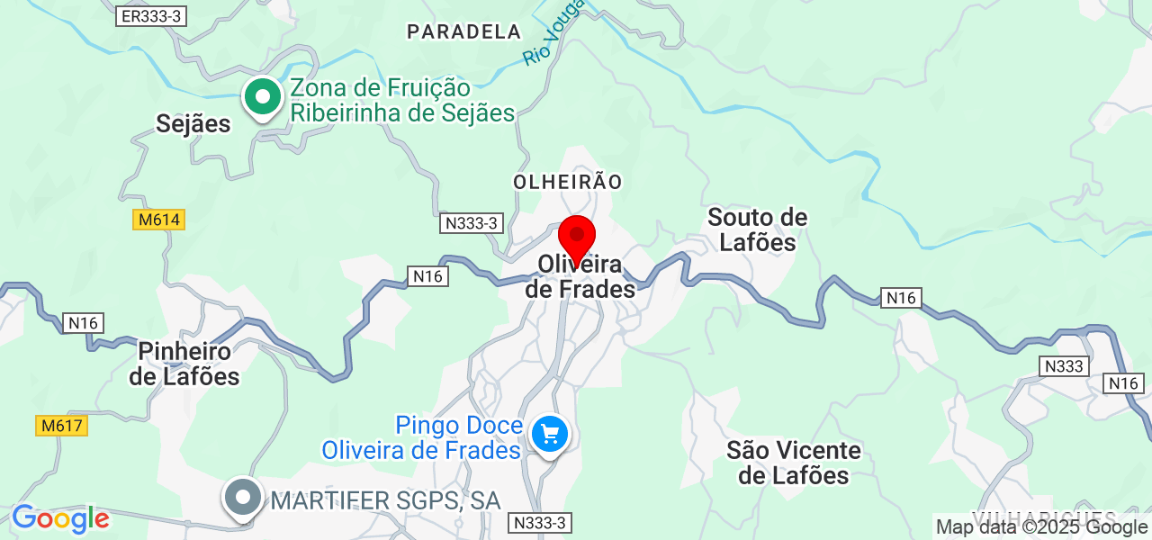 Ricardo Vidal - Viseu - Oliveira de Frades - Karte
