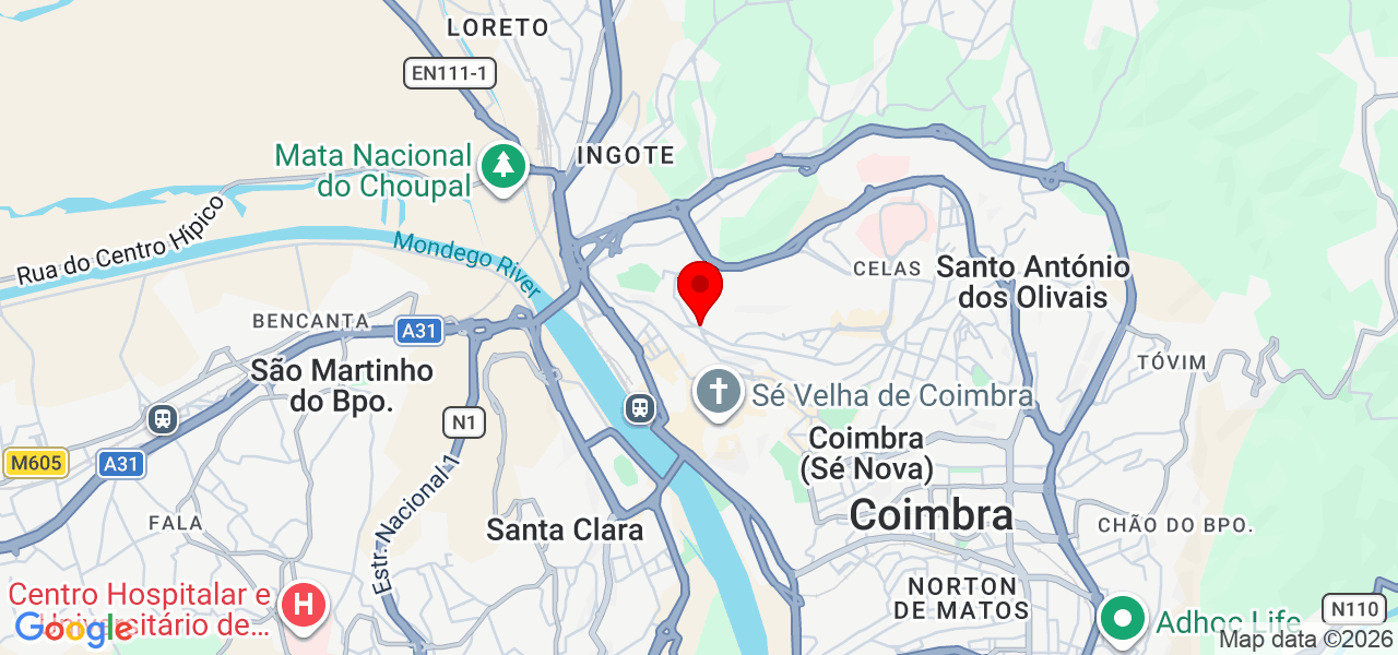 Evangelista & Gomes - Coimbra - Coimbra - Carte