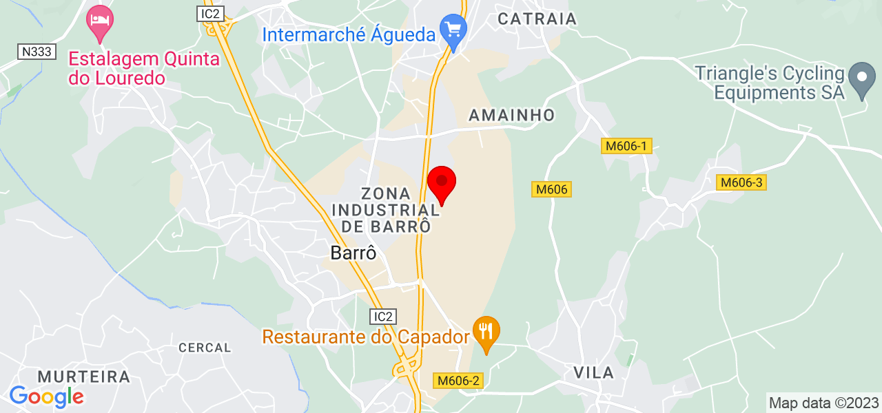 M&oacute;nica Eliana Villarreal - Aveiro - Águeda - Mapa