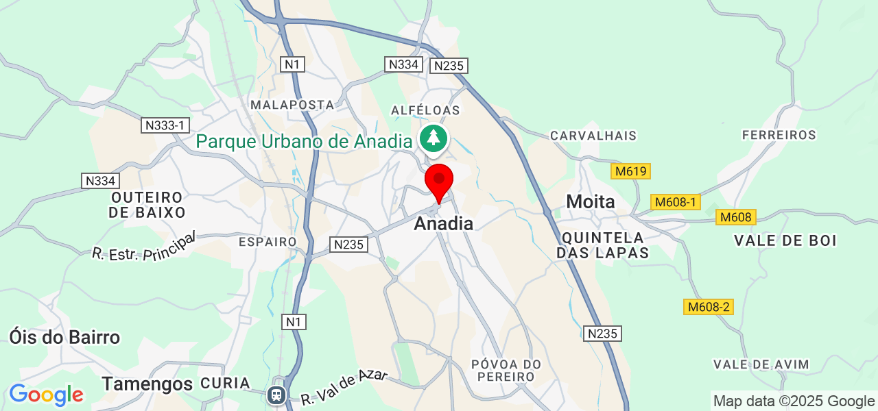 JOEL DIAS - Aveiro - Anadia - Map