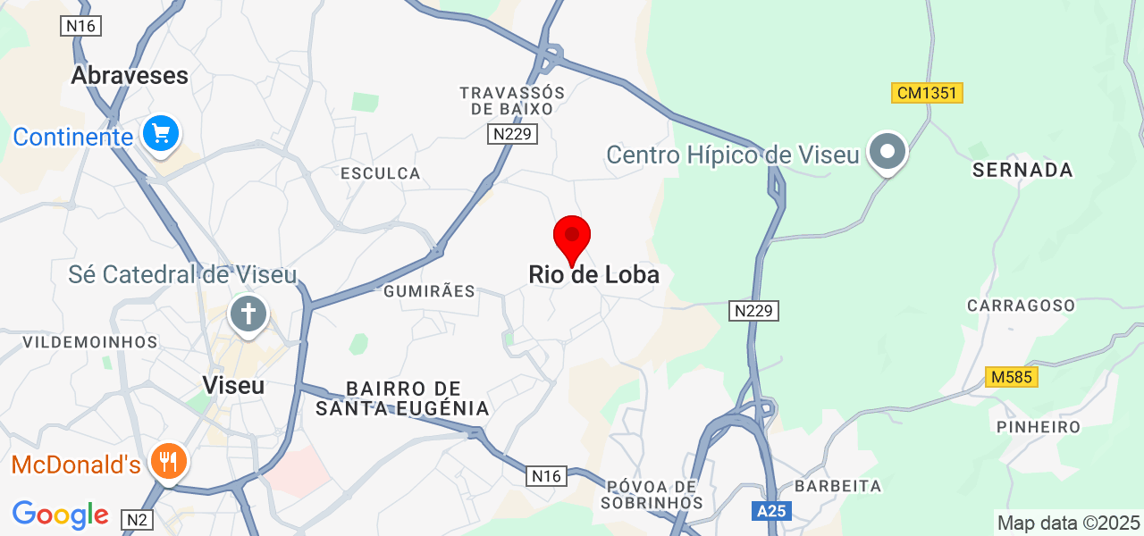 Ana Santos - Viseu - Viseu - Map