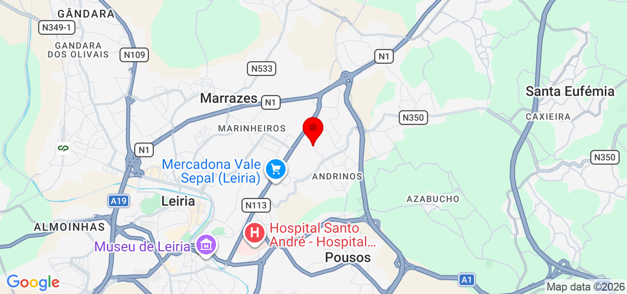 Dog Walker / Pet Sitting - Leiria - Leiria - Carte