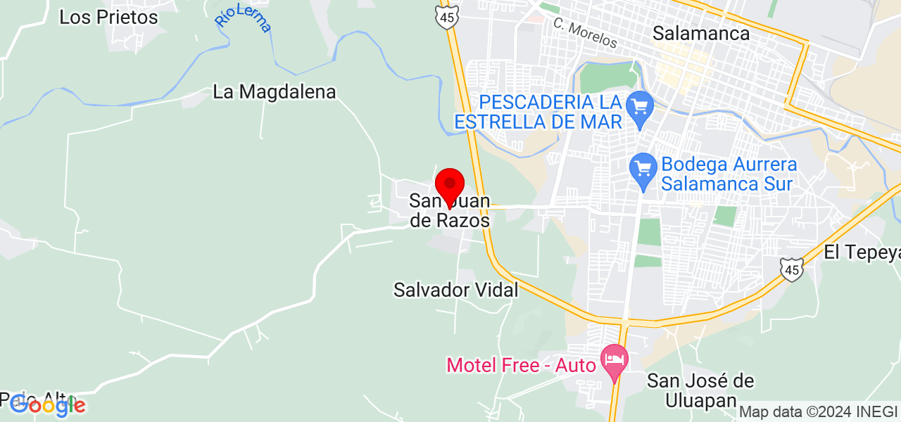 VOLTIO (Unidad De Inspecciones Electricas) - Guanajuato - Salamanca - Mapa