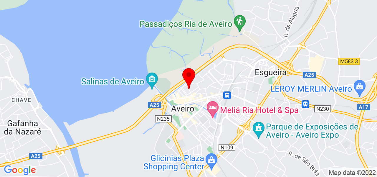 In&ecirc;s Estrela - Aveiro - Aveiro - Mapa