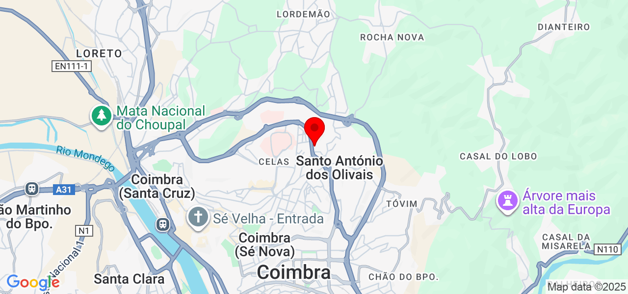 Gogolden Tours & transferes - Coimbra - Coimbra - Mapa