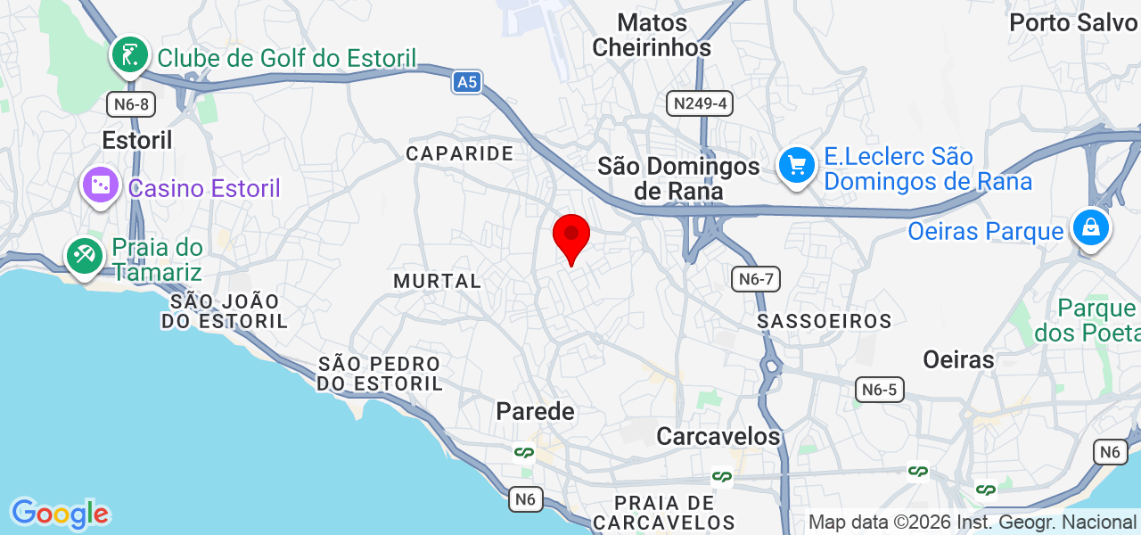 Ricardo Silva — Assistência Informática - Lisboa - Cascais - Carte