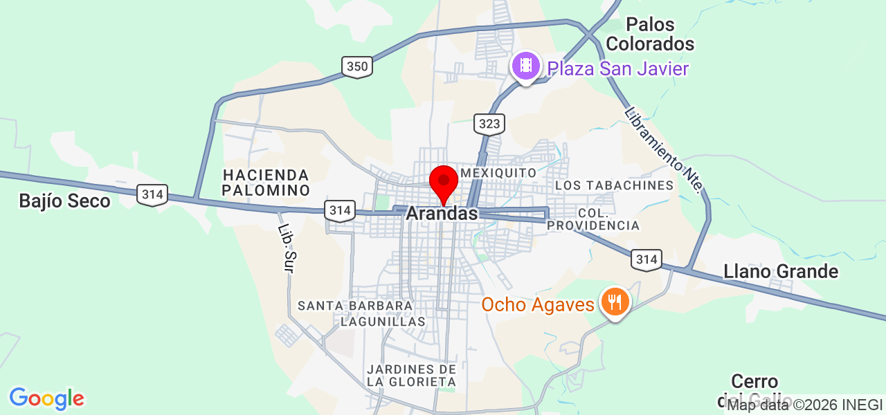 Jonatan de Jesus &Aacute;guila Alvizo - Jalisco - Arandas - Map