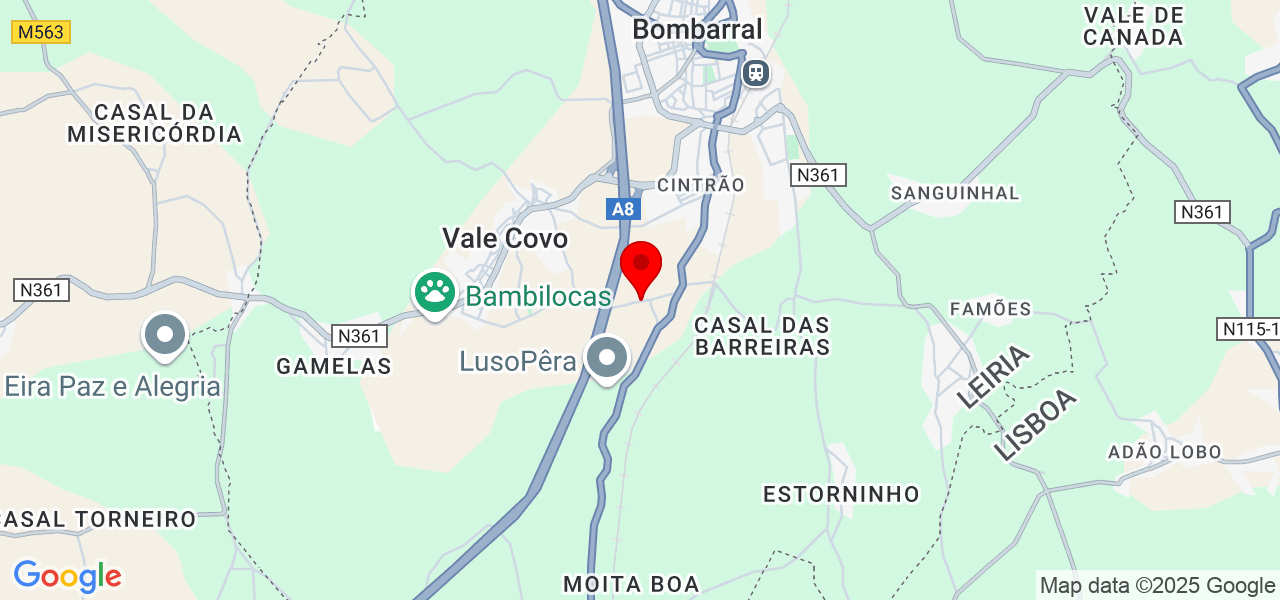 Pedro Pereira - Leiria - Bombarral - Carte