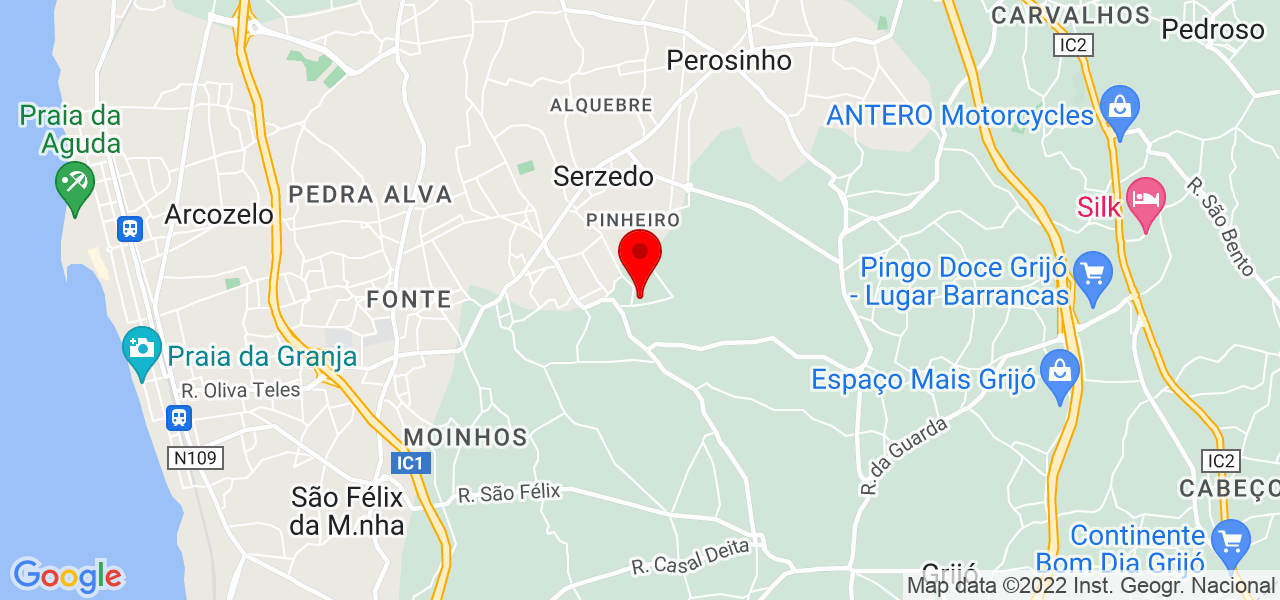 Amiga dos Pets - Porto - Vila Nova de Gaia - Map