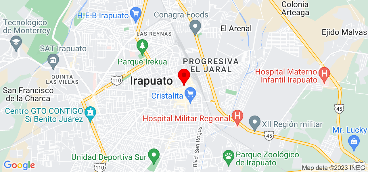 Oasis Therapy - Guanajuato - Irapuato - Mapa