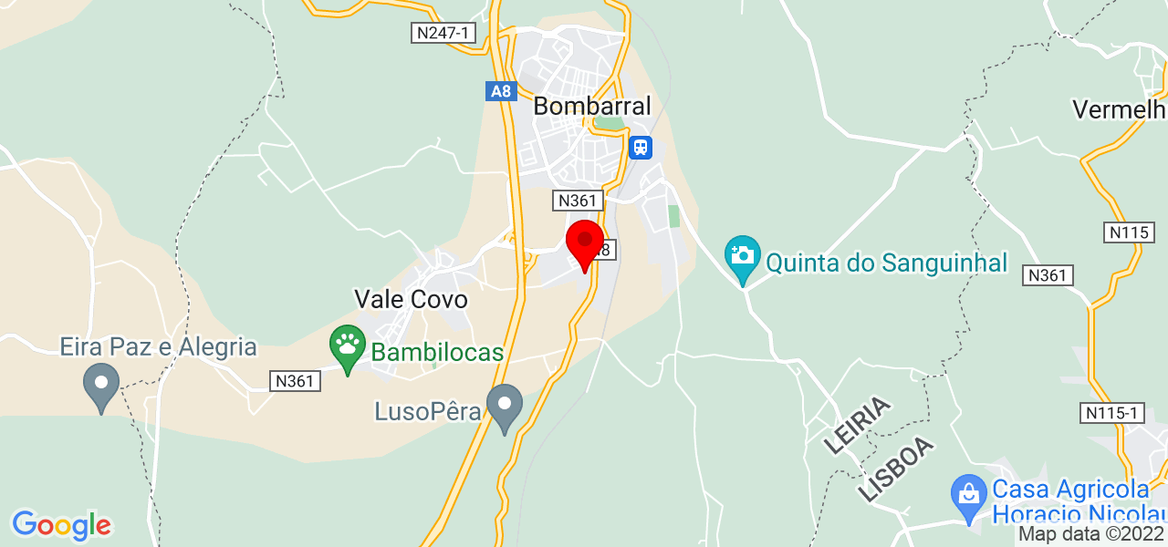 Rui Dionisio - Leiria - Bombarral - Mapa