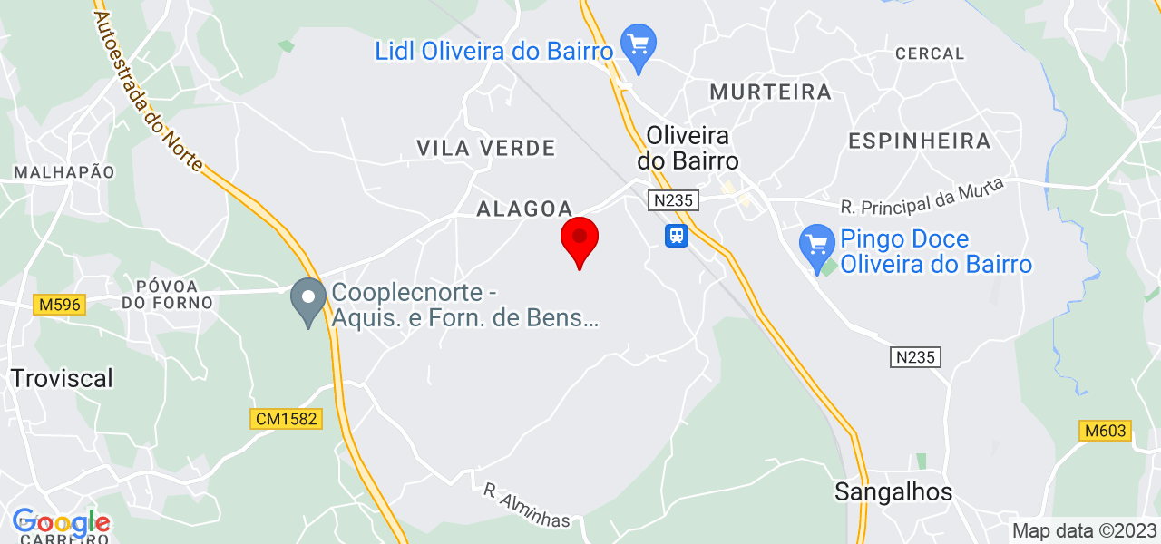 Ricardo Garcia - Aveiro - Oliveira do Bairro - Mapa
