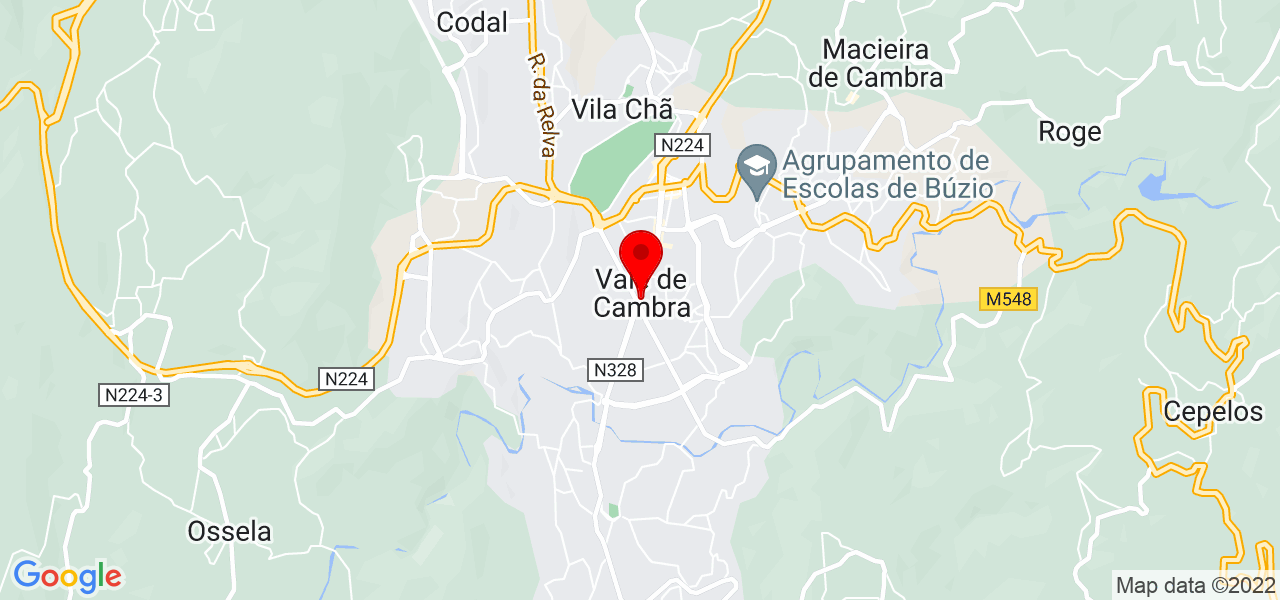 Figurante de Pai Natal ao domic&iacute;lio - Aveiro - Vale de Cambra - Mapa