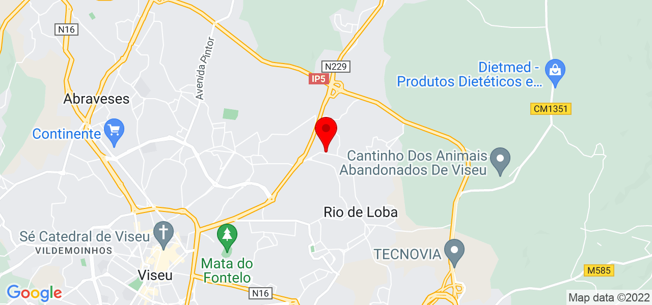 Jos&eacute; Fonseca - Viseu - Viseu - Mapa