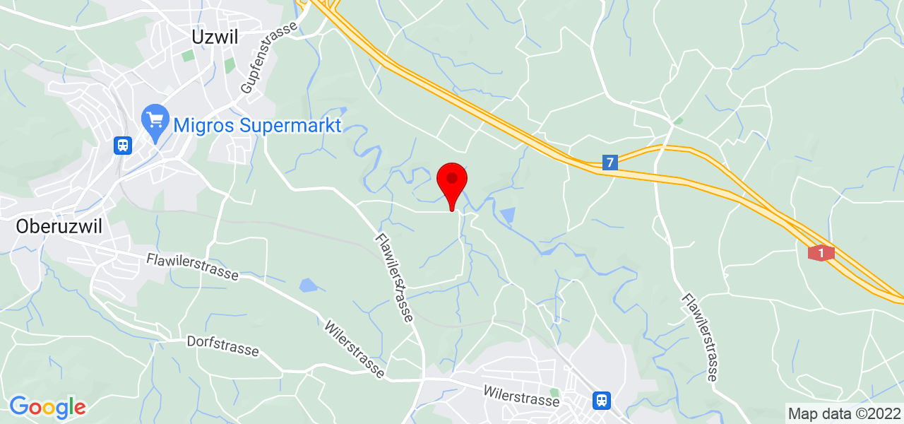 Tome Donev - Sankt Gallen - Oberuzwil - Map