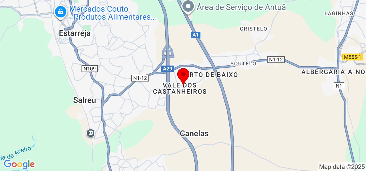 Ricardo - Aveiro - Estarreja - Mapa