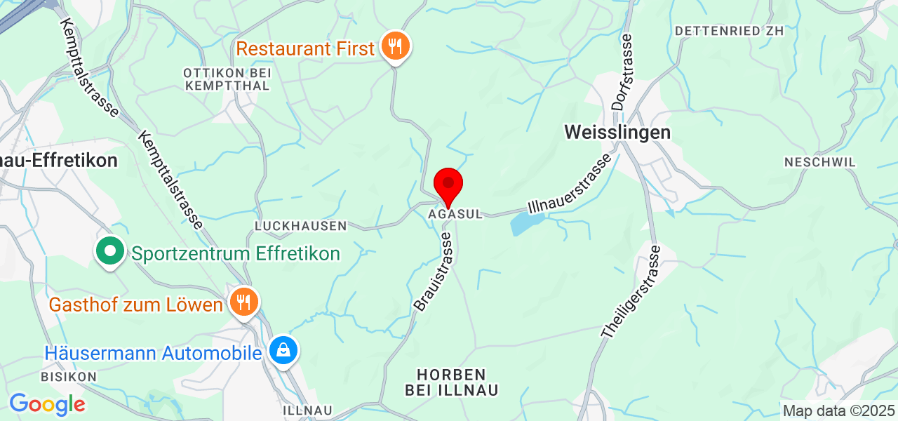 Finn Bürgisser - Zürich - Illnau-Effretikon - Carte