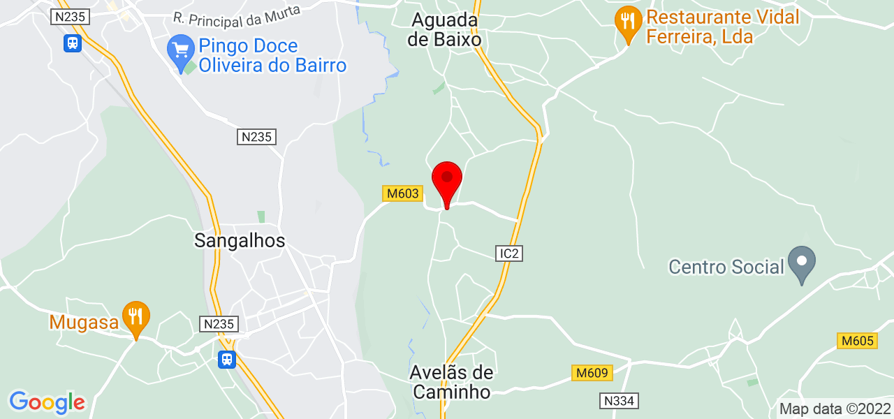 Manuel de Almeida - Aveiro - Anadia - Mapa