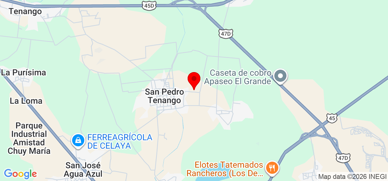 Chanona - Guanajuato - Apaseo el Grande - Mapa