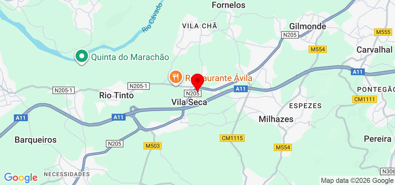 Fabr&iacute;cio Silva - Braga - Barcelos - Carte