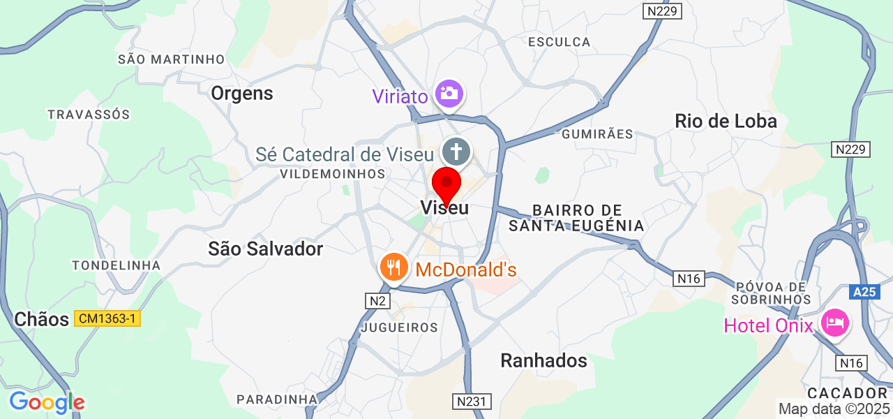 Projecta Engenharia & Serviços. - Viseu - Viseu - Mapa