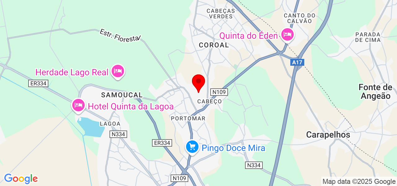 Sílvia Pinho - Coimbra - Mira - Carte