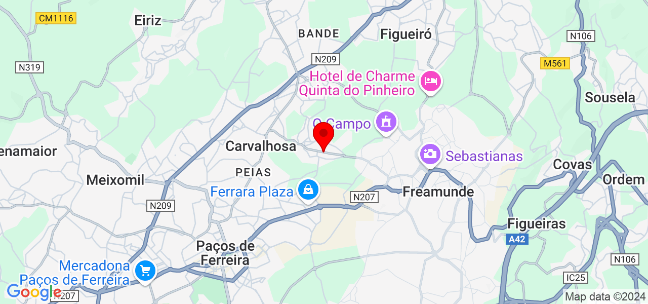 Ema Dias - Porto - Paços de Ferreira - Carte
