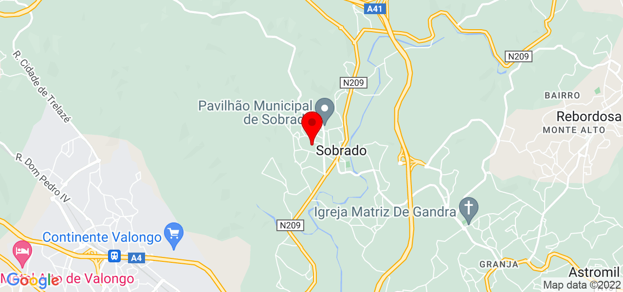 Diana Ferreira - Porto - Valongo - Carte