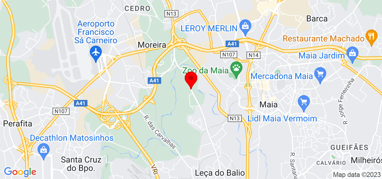Ricardo Carneiro - Porto - Matosinhos - Mapa