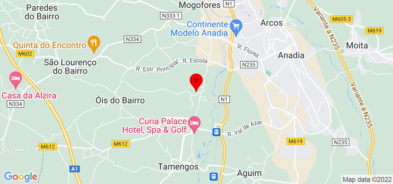 Belas Artes gesso - Aveiro - Anadia - Mapa