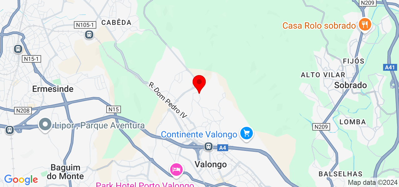 Teresa Afonso - Porto - Valongo - Carte