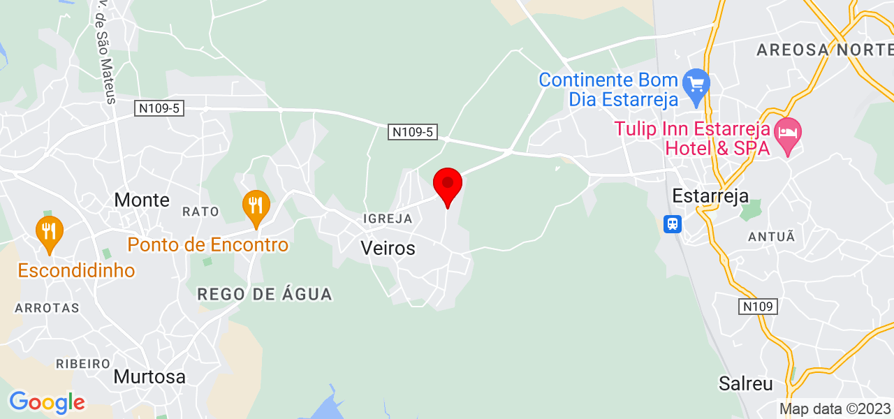 Manuel Vieira - Aveiro - Estarreja - Mapa