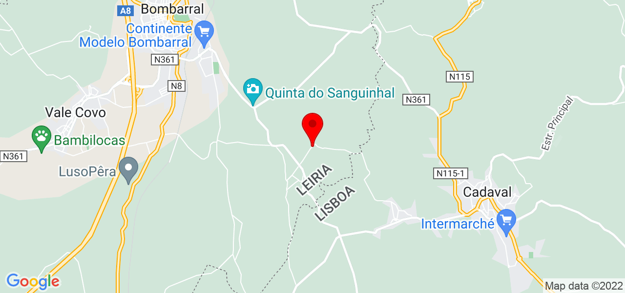 Duarte Lima Villas - Leiria - Bombarral - Mapa