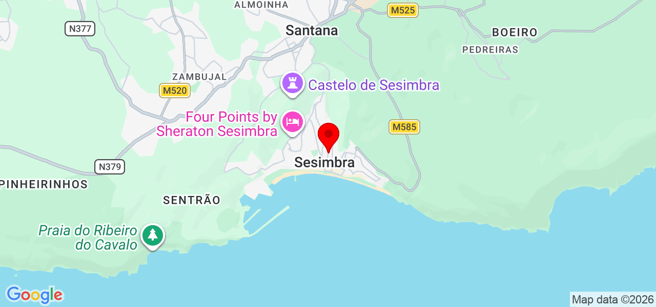 Fábio Pires Marido de aluguel - Setúbal - Sesimbra - Carte