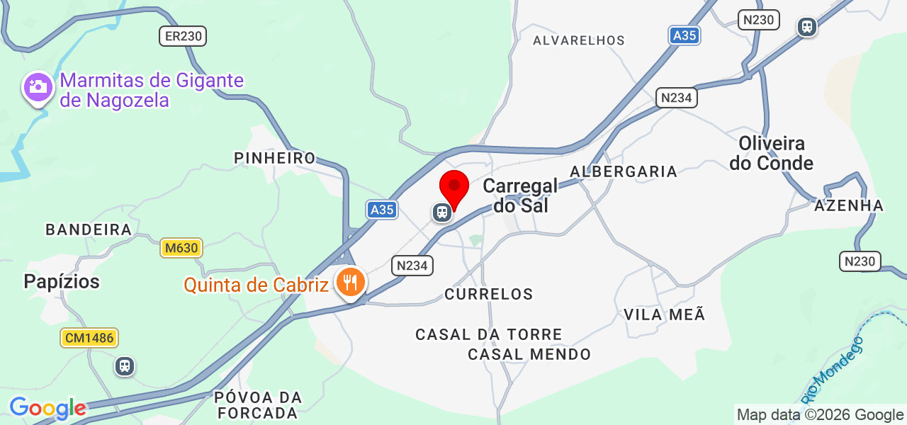 Maria Silva - Viseu - Carregal do Sal - Mapa