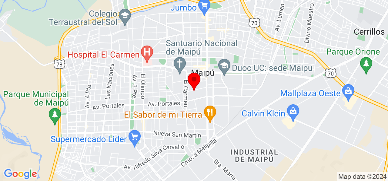 &iexcl;Cuidadora de gatos a domicilio cari&ntilde;osa y responsable! - Región Metropolitana de Santiago - Santiago - Mapa