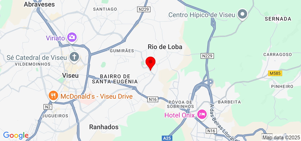 Ricardo Cabral - Viseu - Viseu - Mapa