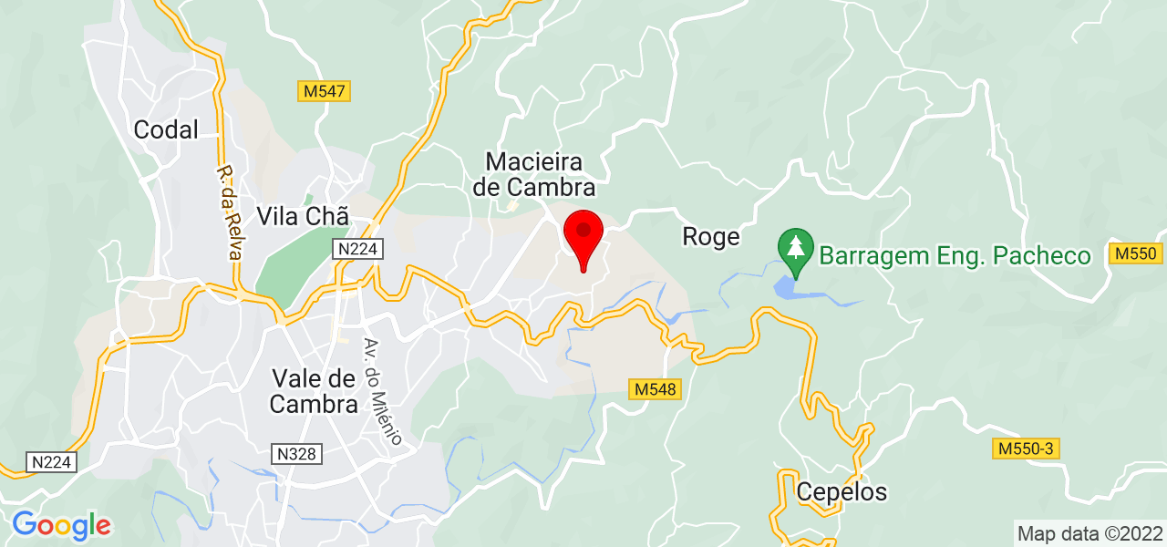 Ana Soares - Aveiro - Vale de Cambra - Mapa