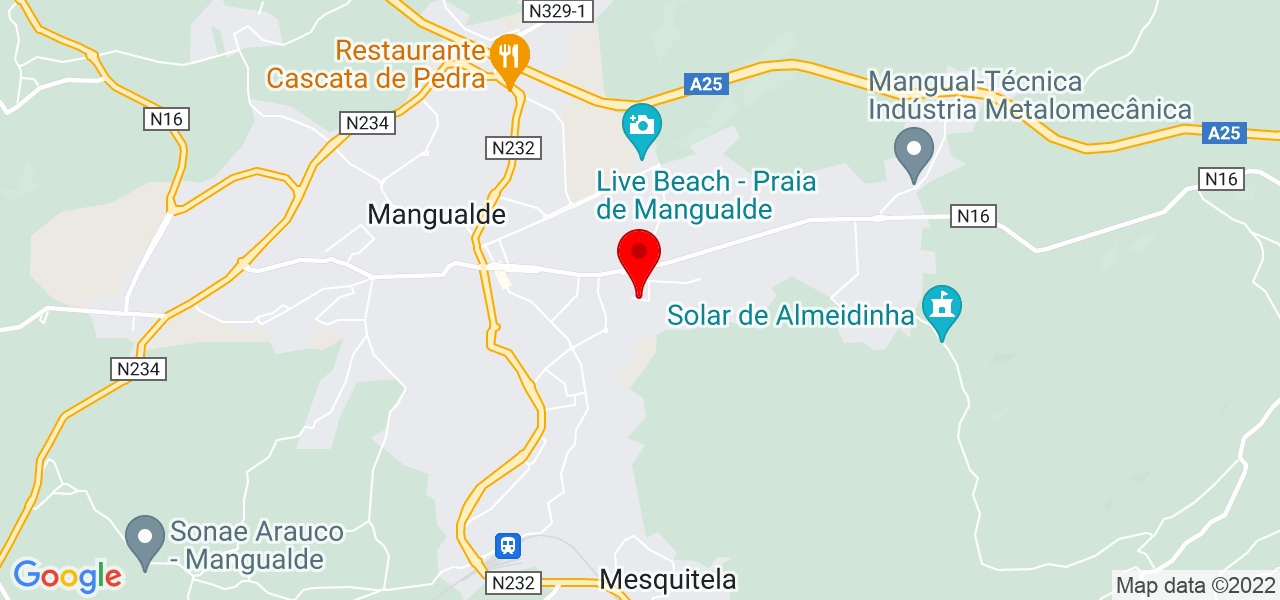S&eacute;rgio Filipe santos Rodrigues - Viseu - Mangualde - Mapa