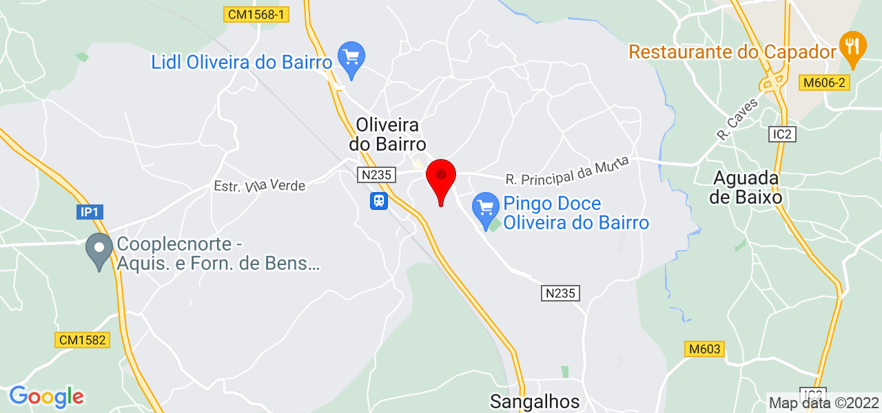 Aline rodrigues - Aveiro - Oliveira do Bairro - Mapa