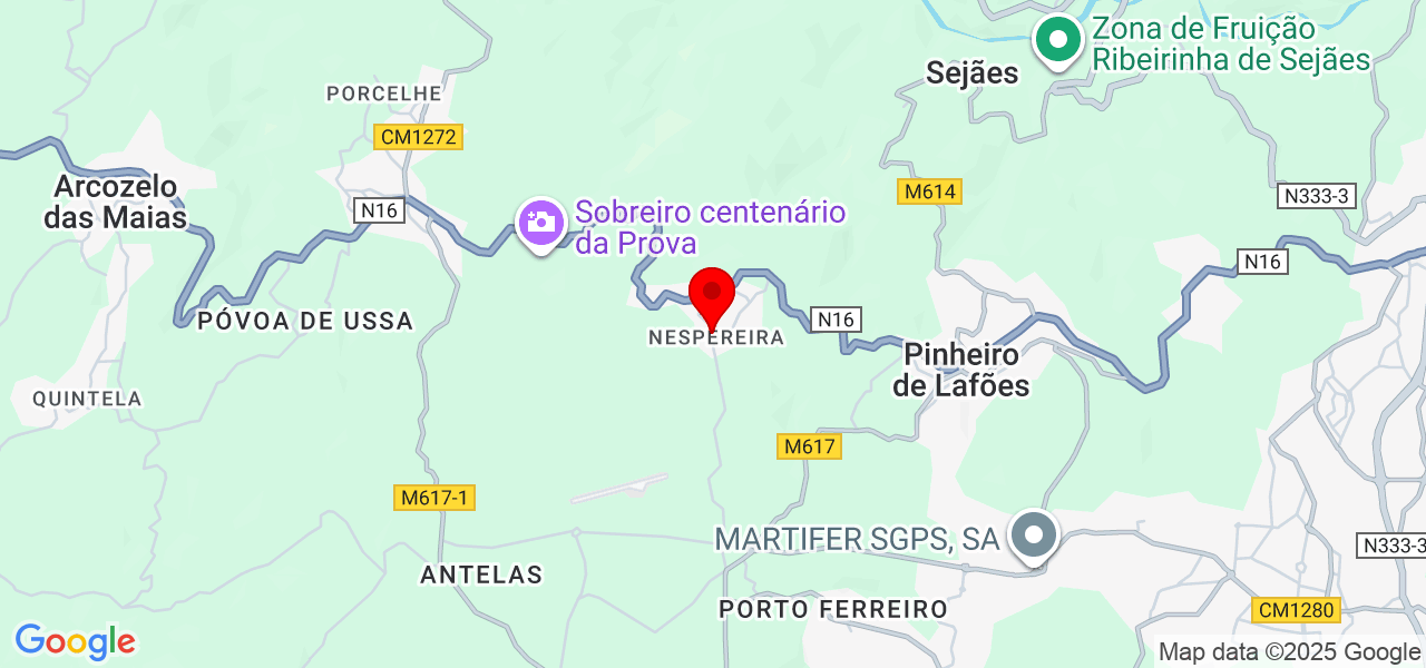 Milena Amaral - Viseu - Oliveira de Frades - Mapa